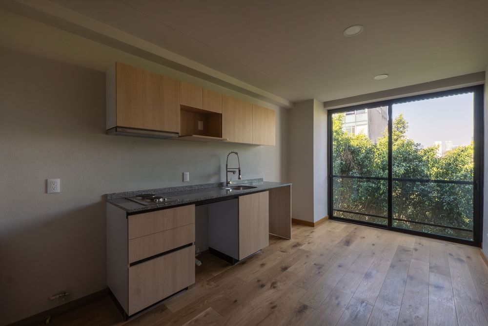 San Luis Potosi V image 2