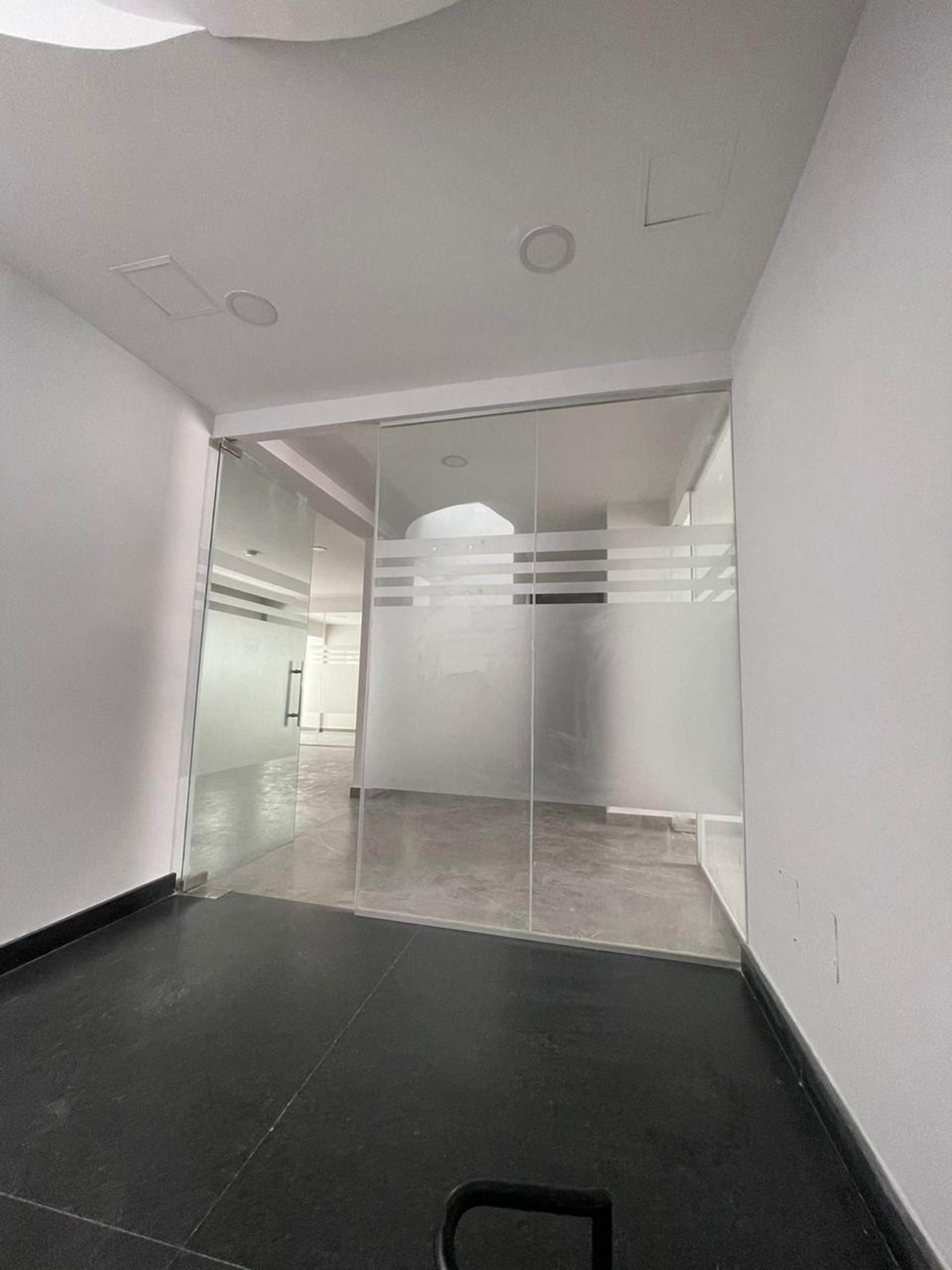 Horacio Oficina XXXII image 5