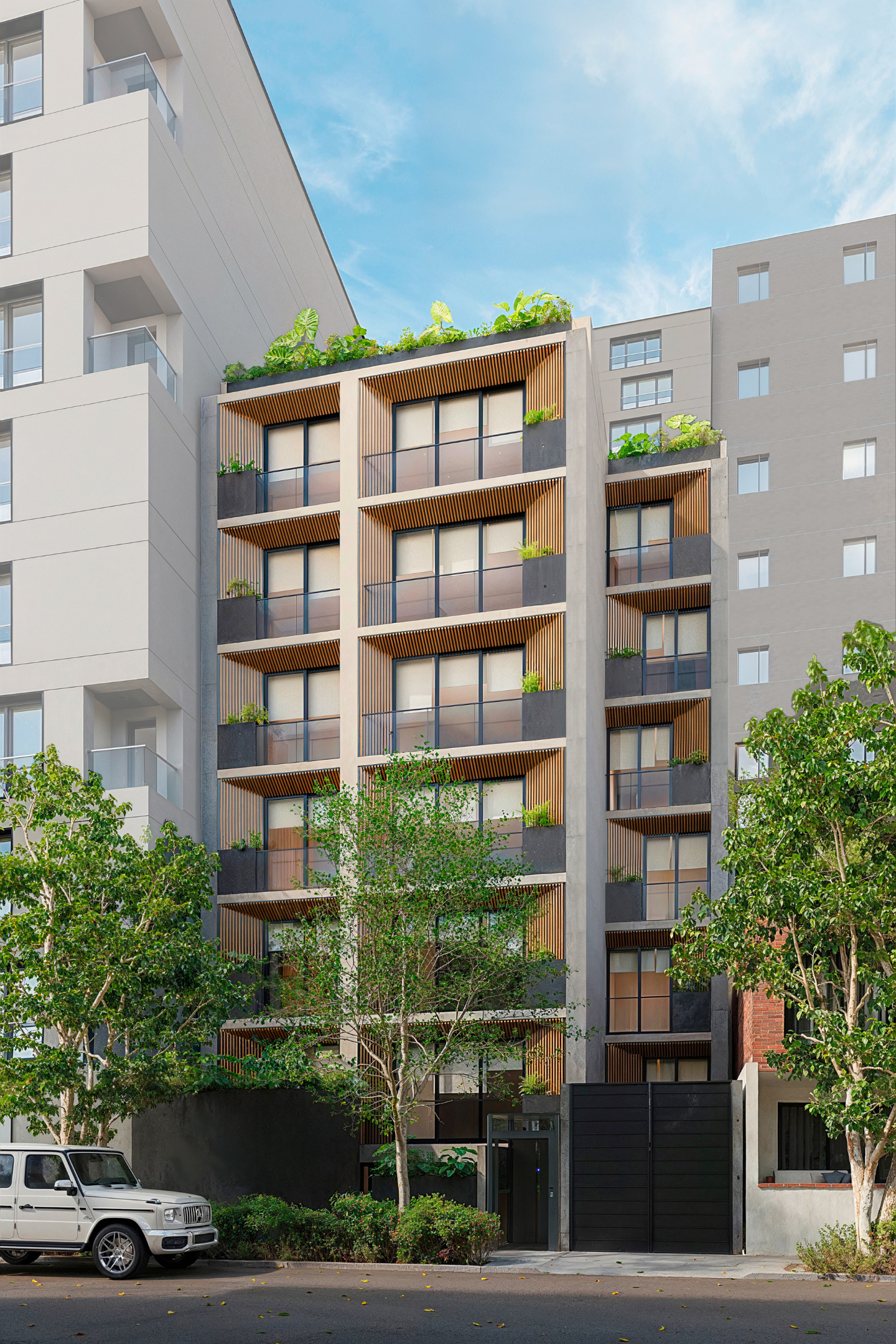 Rincón del bosque I