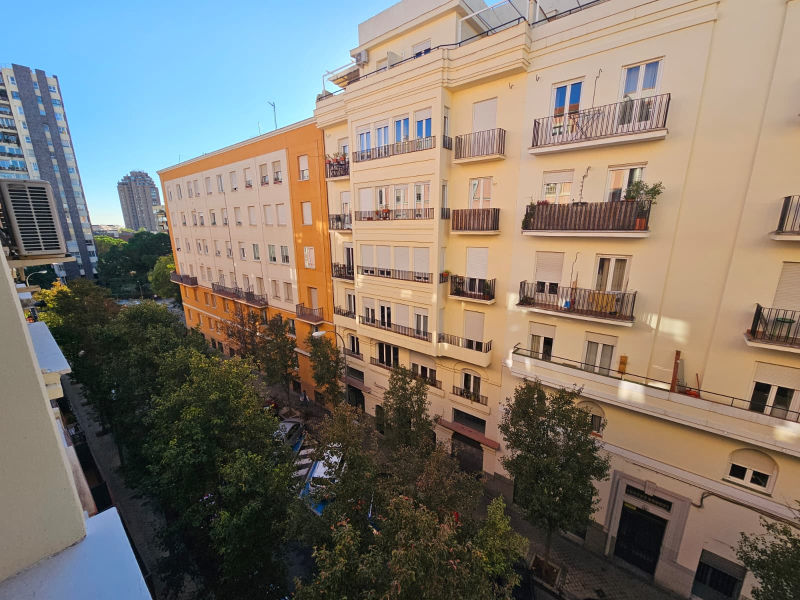 Fernán González X image 1