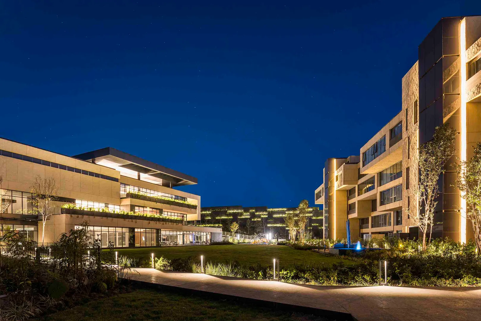 Carretera al Olivo II