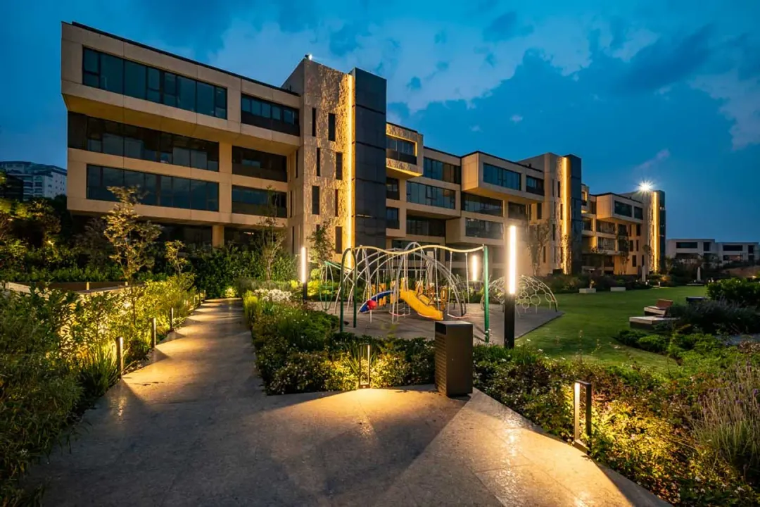 Carretera al Olivo II image 4