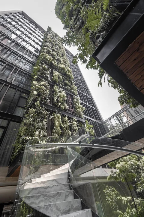 Ruben Dario II image 4