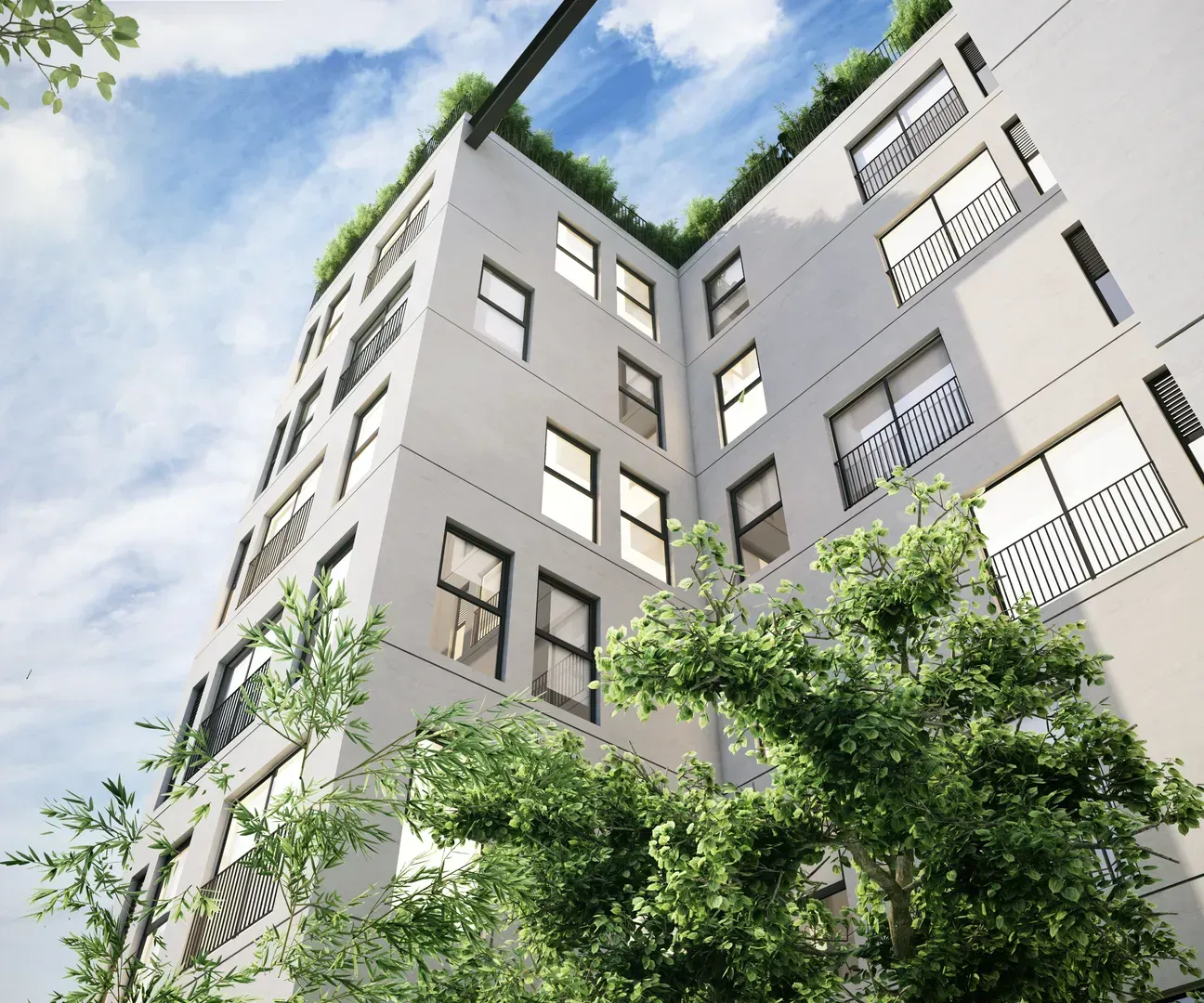 Salamanca II image 2