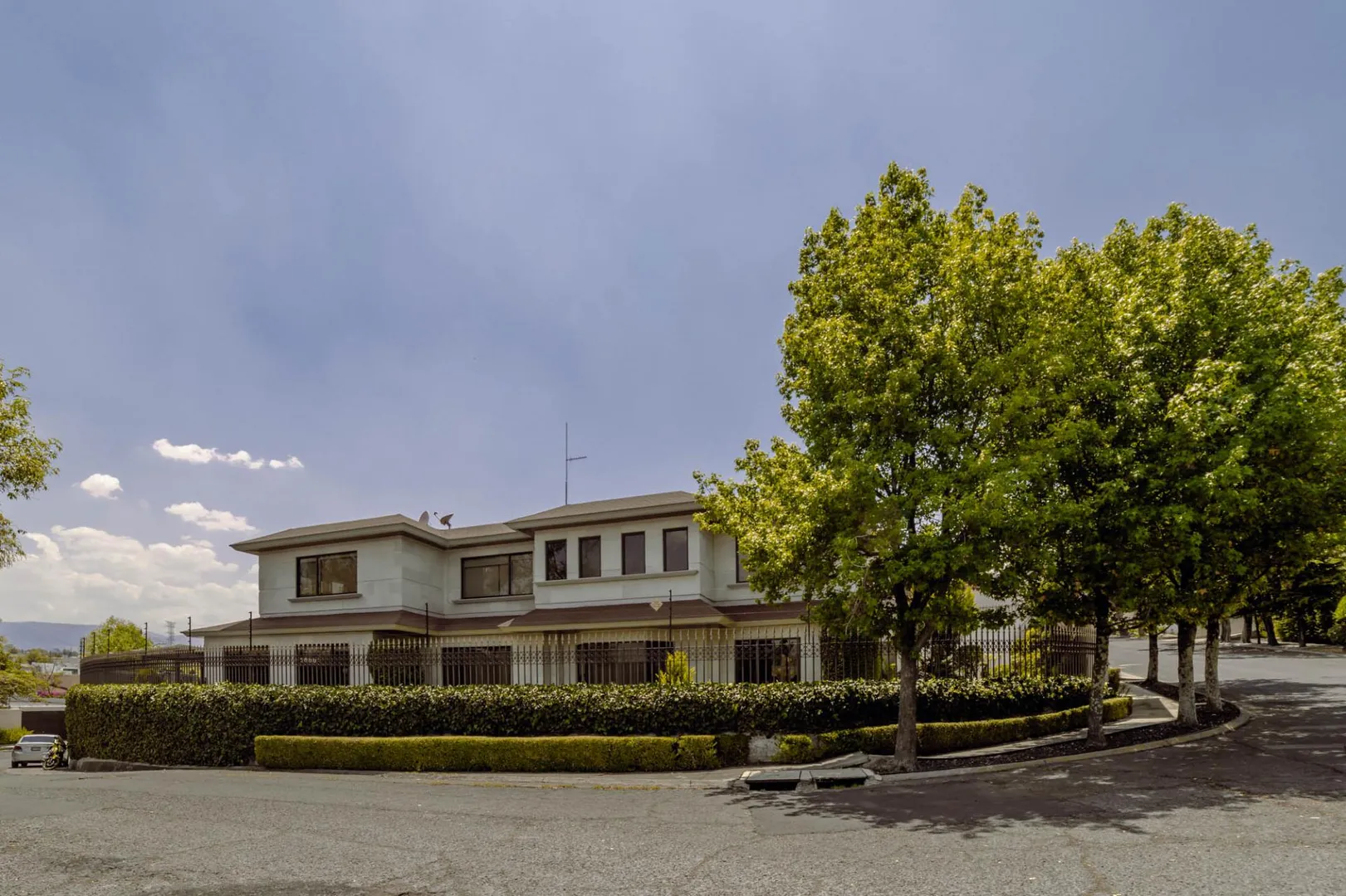 Imagen 1 de Bosque de Olivos I