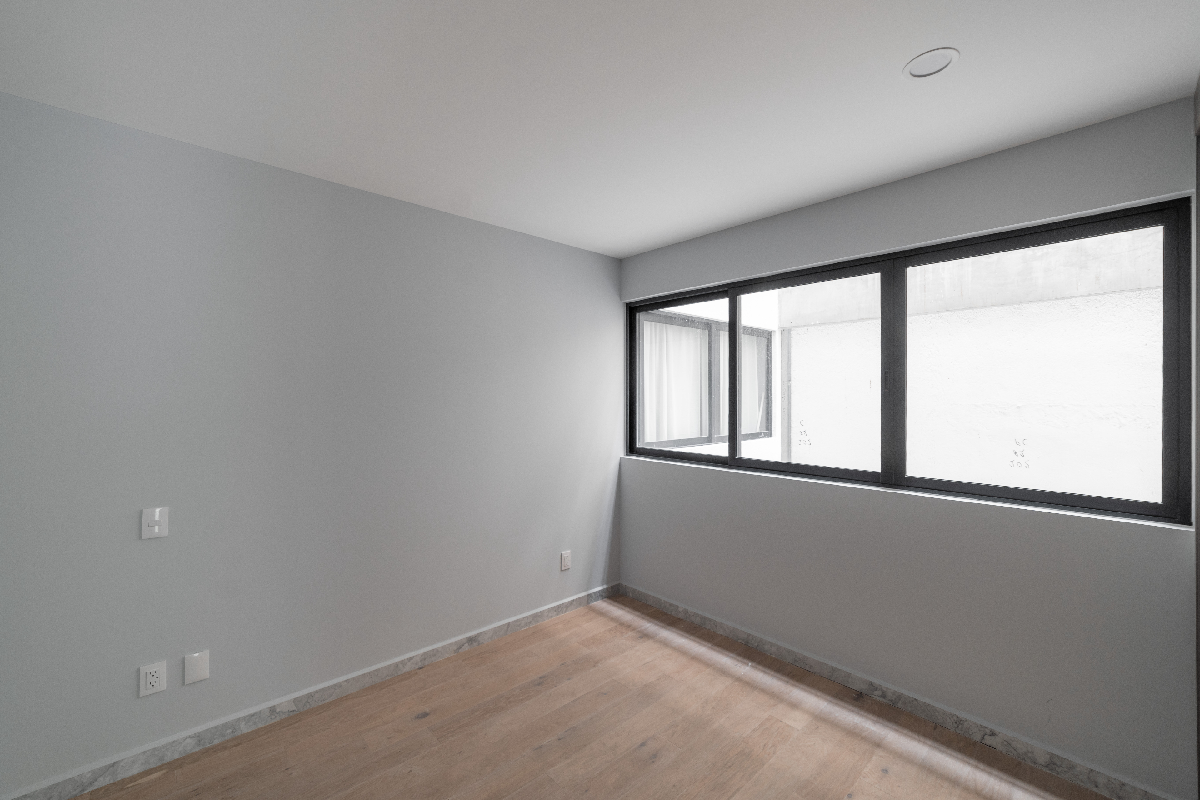 Coahuila III image 5