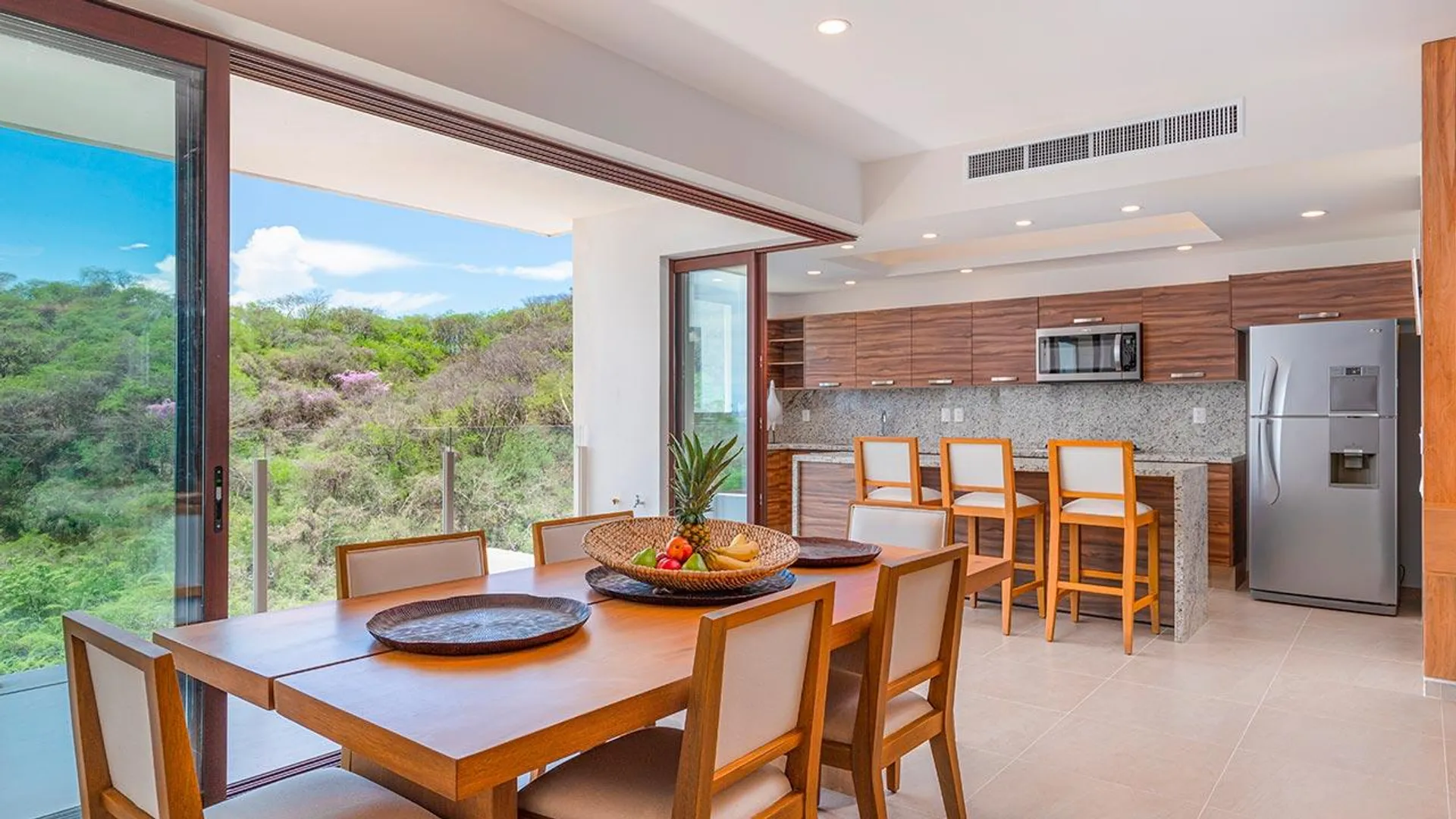 Alamar Vallarta image 6