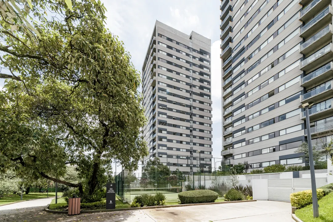 Julián Adame I image 3