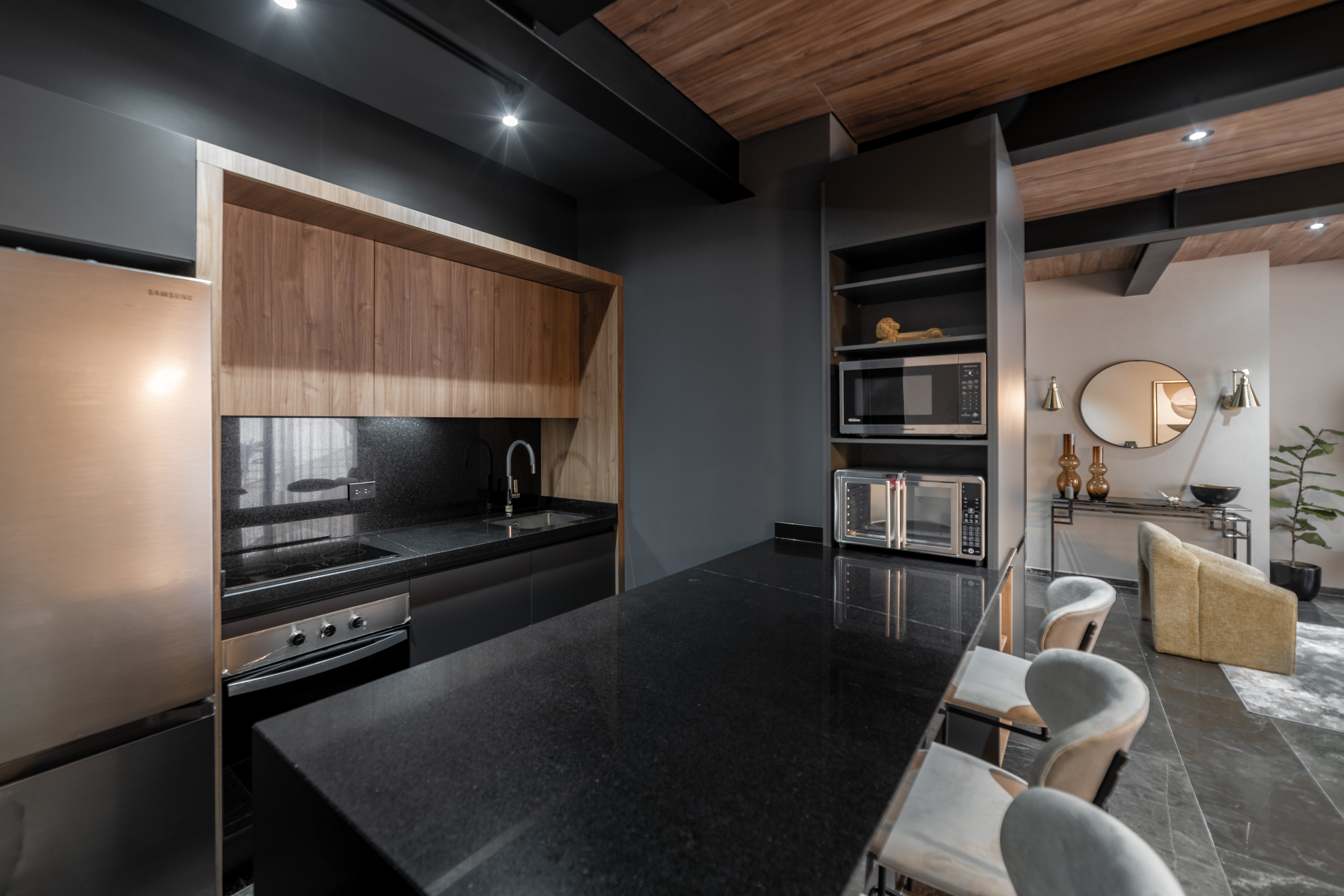 Nuevo León XI image 4