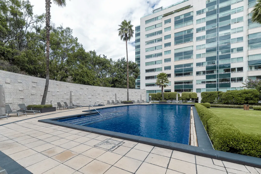 Sierra Gorda VI image 2