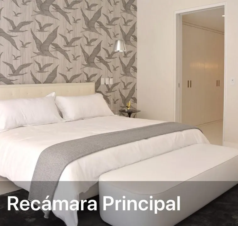 Ruben Dario XII image 1