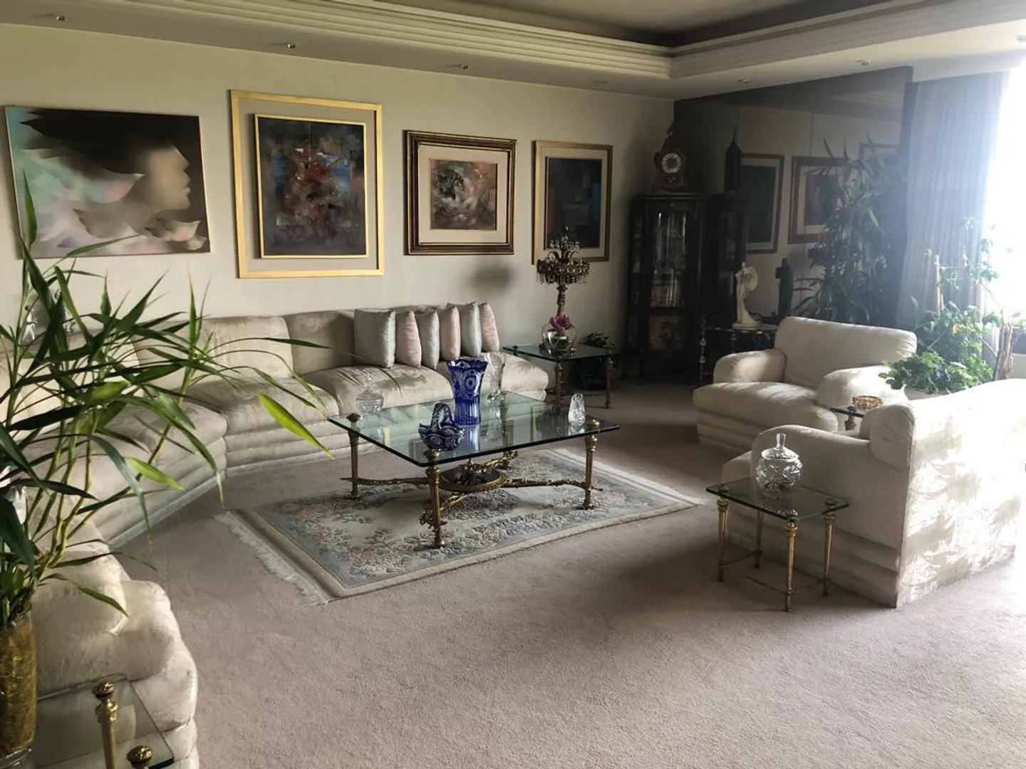 Imagen 1 de Campos Eliseos XVIII