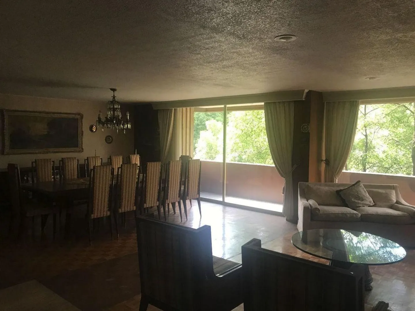 Imagen 1 de Campos Eliseos XVII