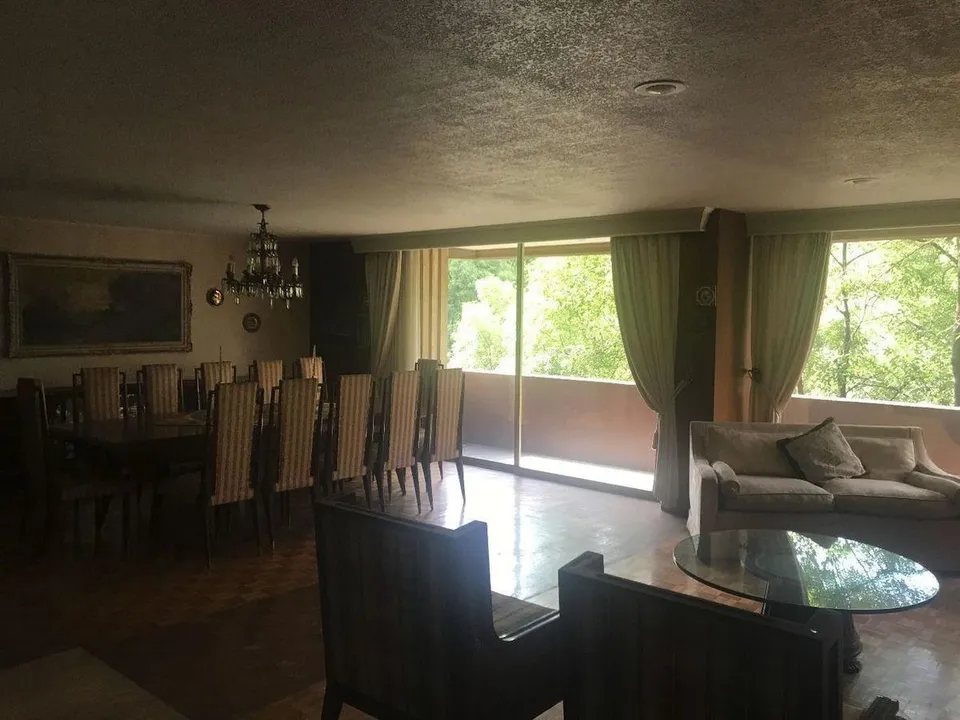 Campos Eliseos XVII image 0