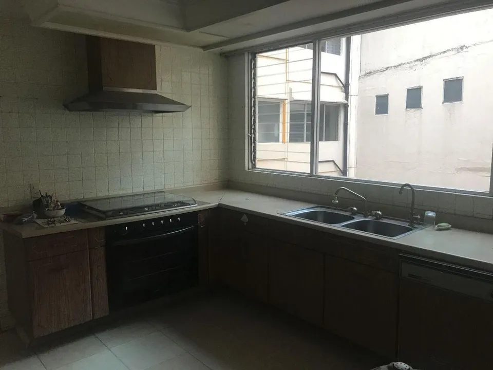 Campos Eliseos XVII image 3