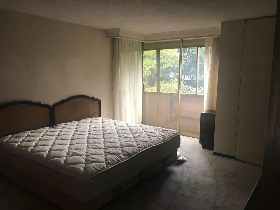 Campos Eliseos XVII image 5