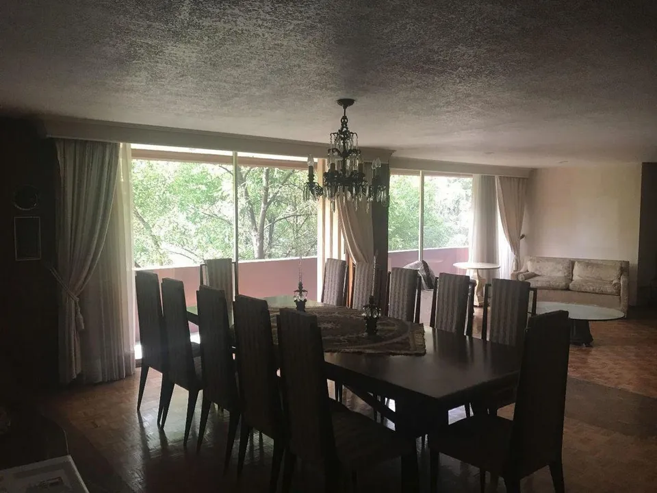 Campos Eliseos XVII image 6