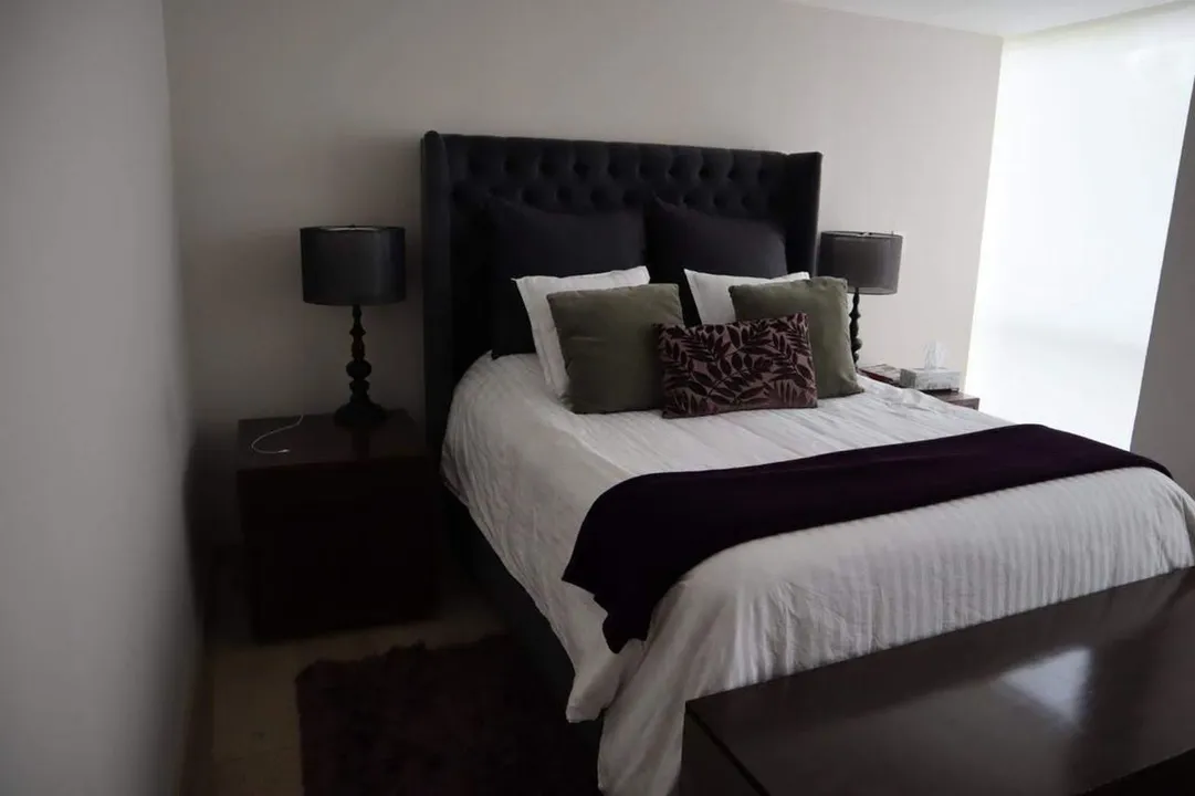 Monte Chimborazo I image 2