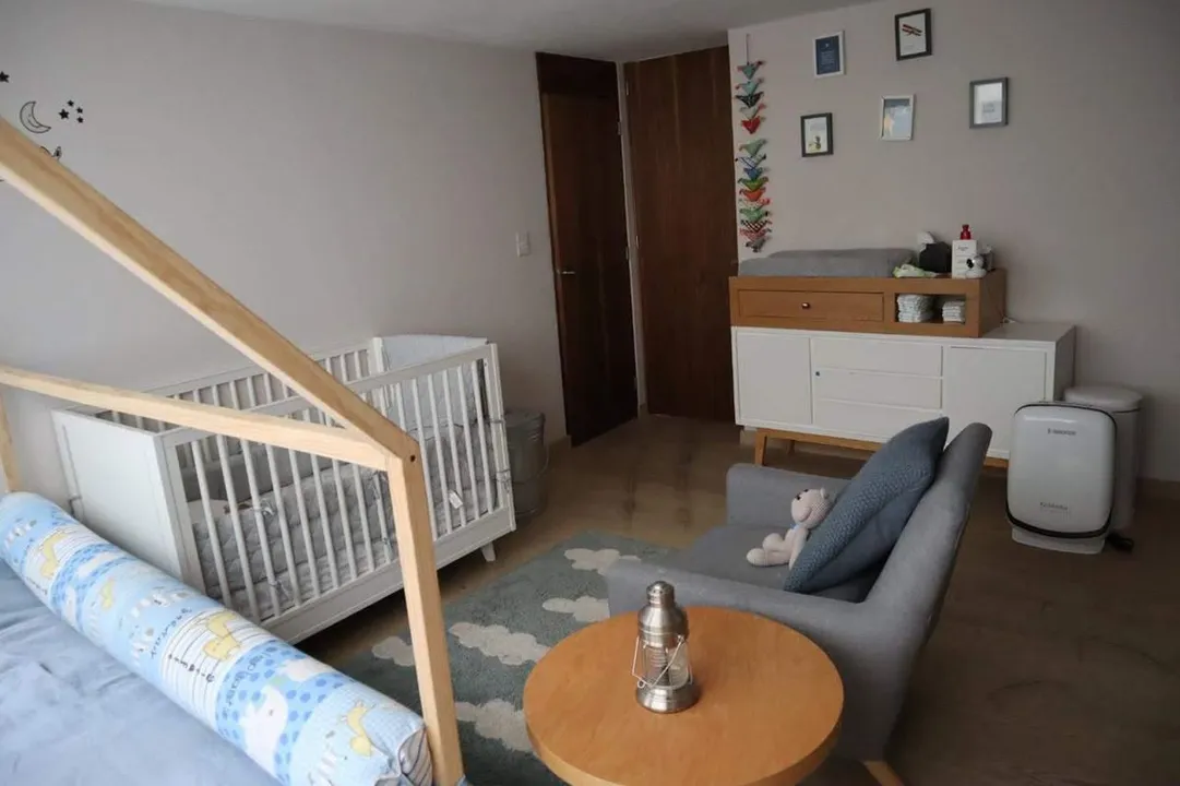 Monte Chimborazo I image 3