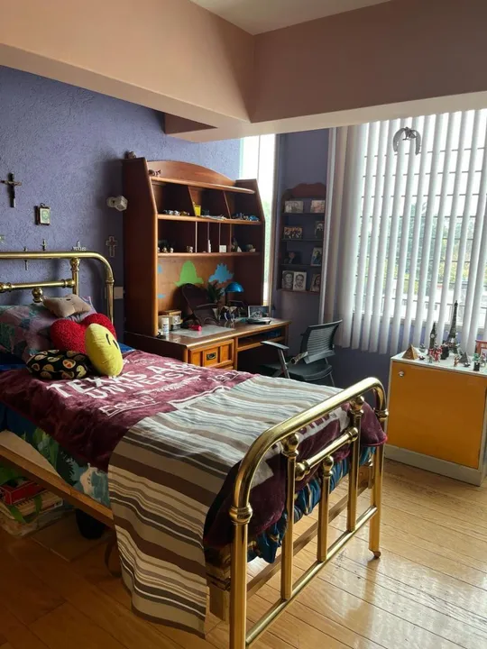 Cordillera De Los Andes II image 3