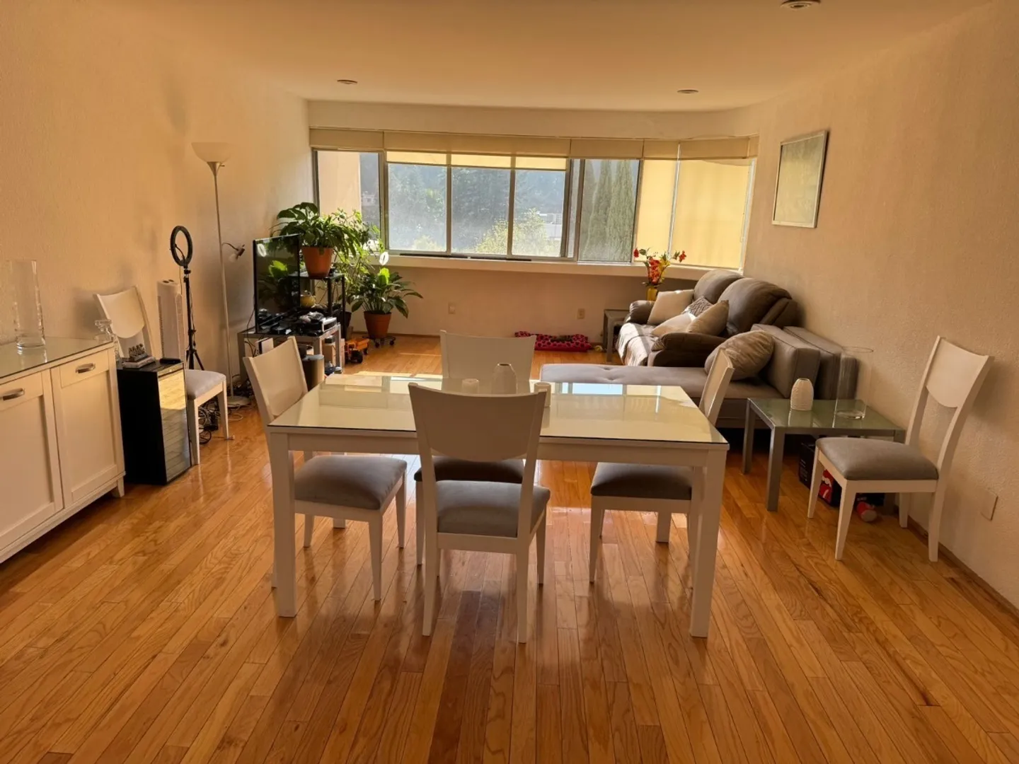 Imagen 1 de Cda De La Amargura II