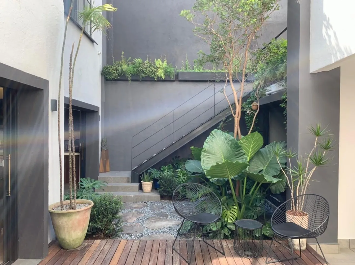 Imagen 1 de Goethe II