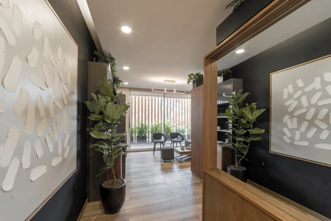 Prolongación Paseo de la Reforma XII image 3