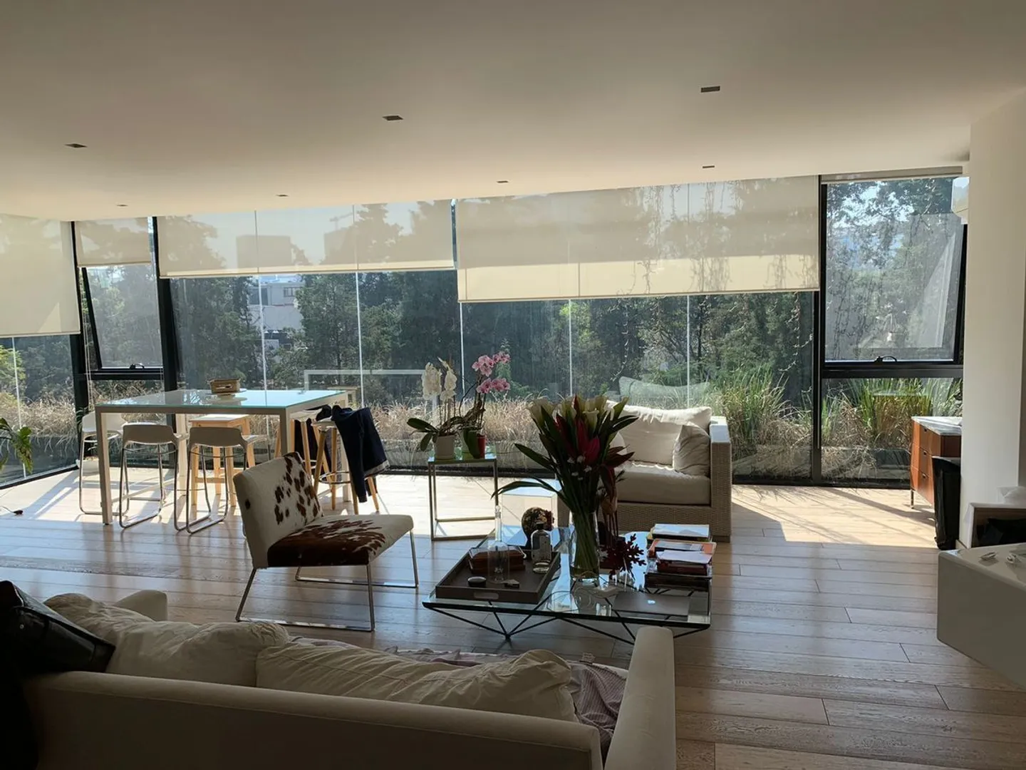 Imagen 1 de Horacio XXVI