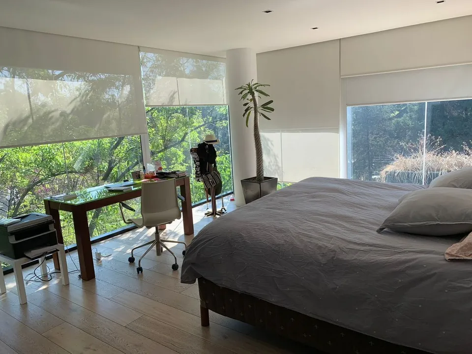 Horacio XXVI image 6