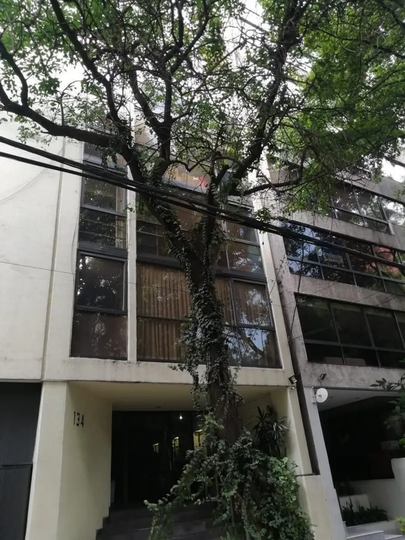 Imagen 1 de Hegel VI