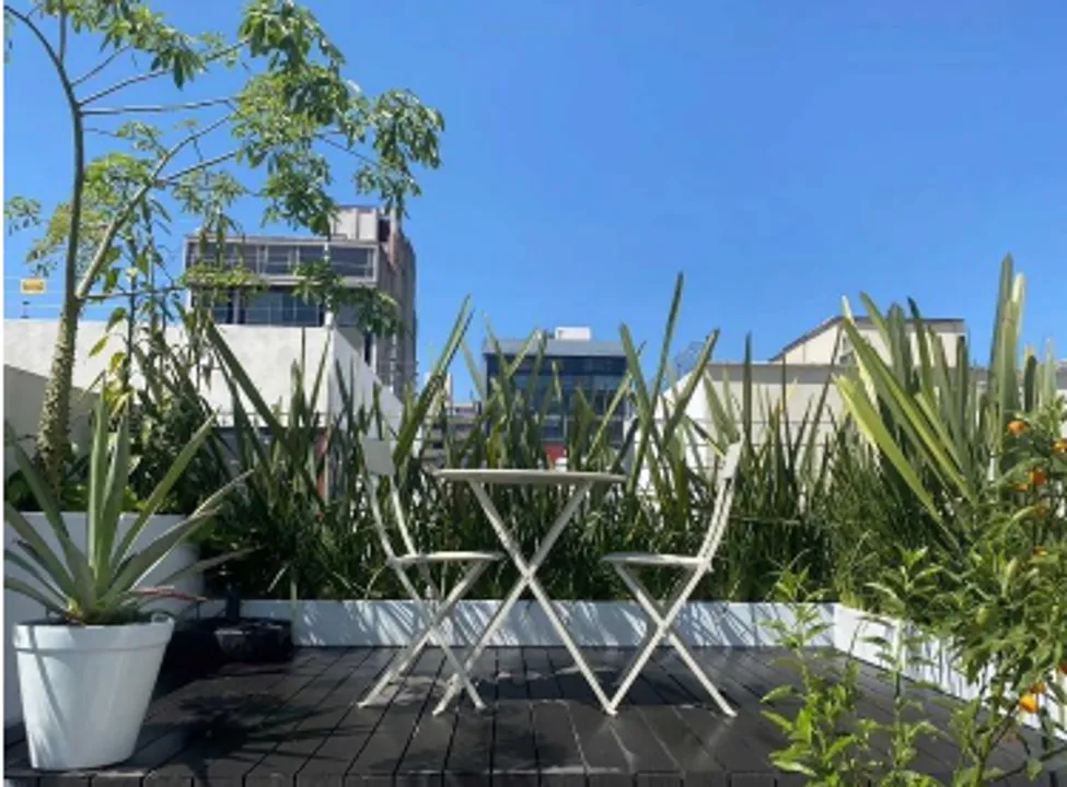 Sudermann VII image 4