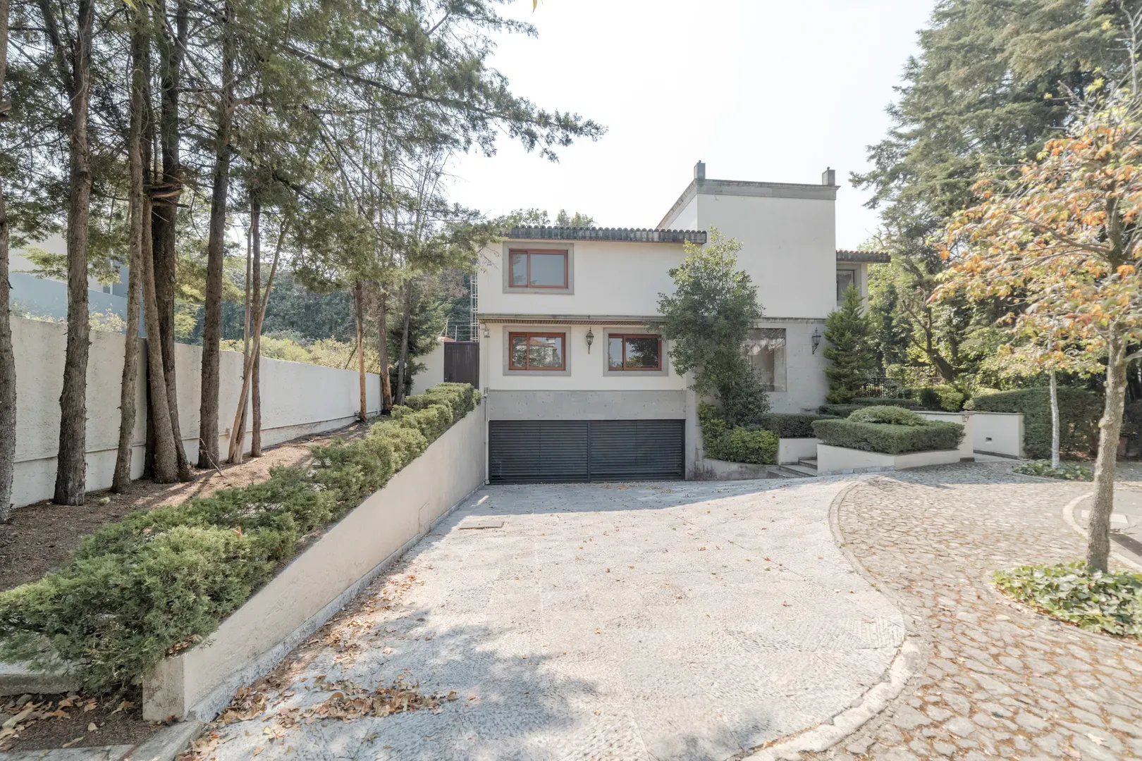 Paseo de las Primaveras XIX