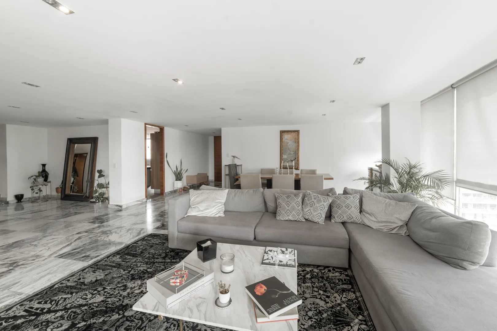 Imagen 1 de Homero XXVI