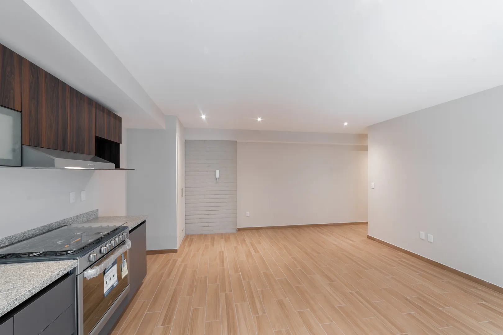 Av. Revolución IX image 3