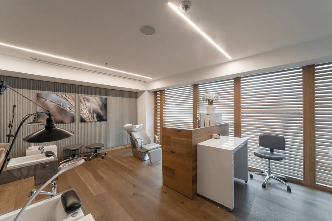 Campos Elíseos XXIV image 4