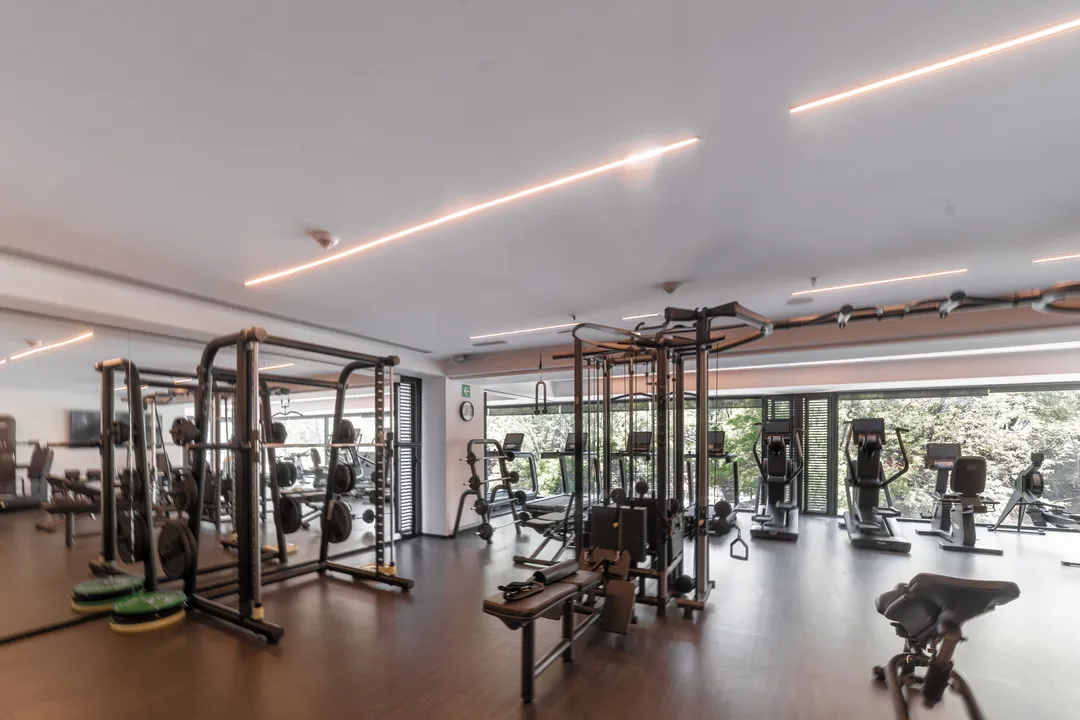 Campos Elíseos XXIV image 6