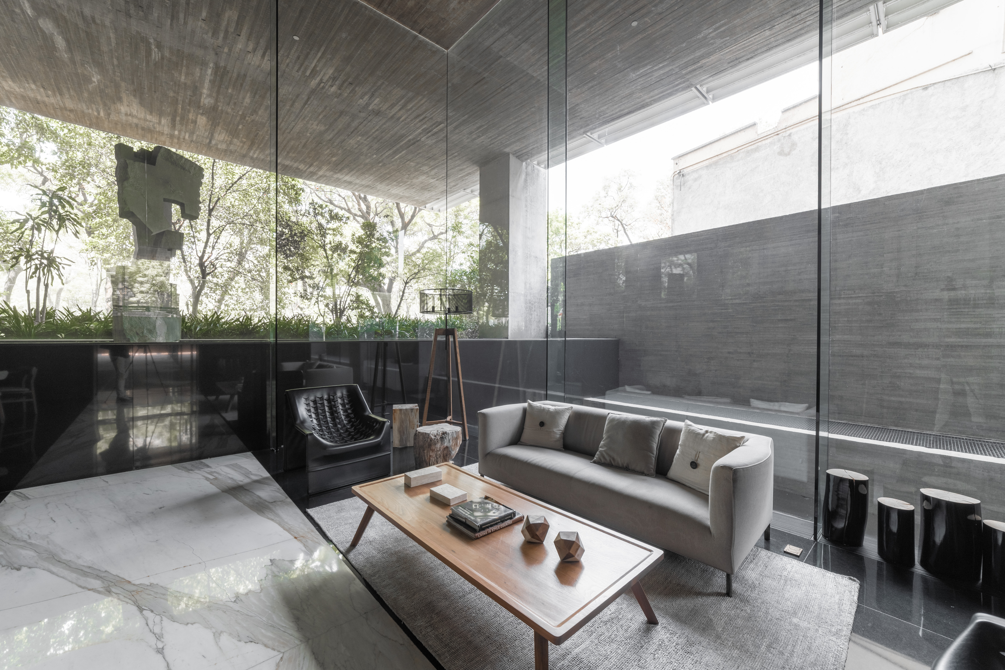 Campos Elíseos XXIV