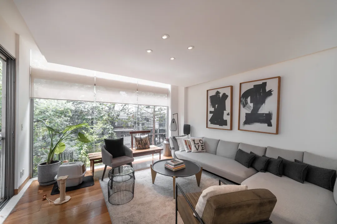 Sócrates XXIII image 1