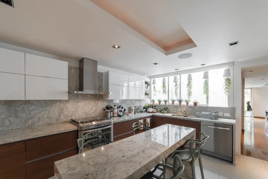 Campos Eliseos XXVI image 3