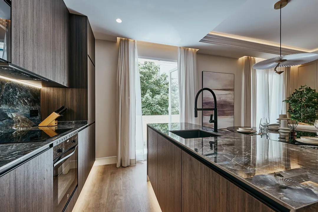 Velázquez XI image 6