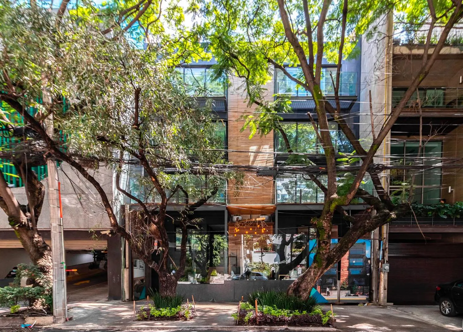 Imagen 1 de Hegel IV