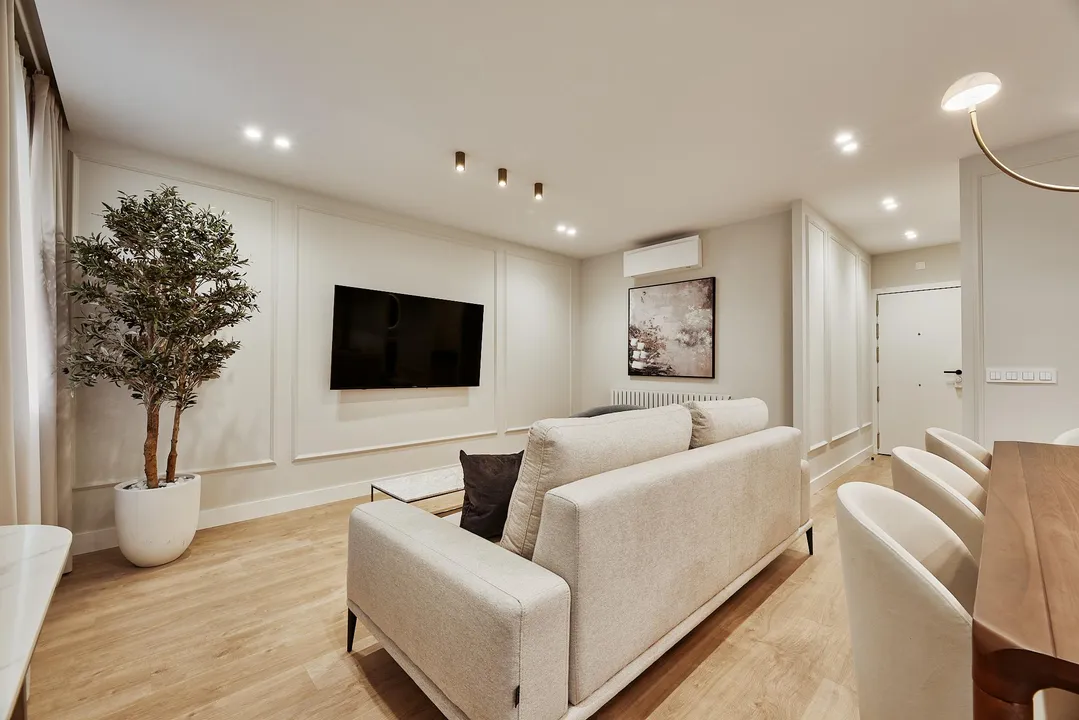 General Pardiñas VI image 2