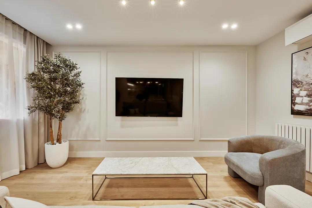 General Pardiñas VI image 4