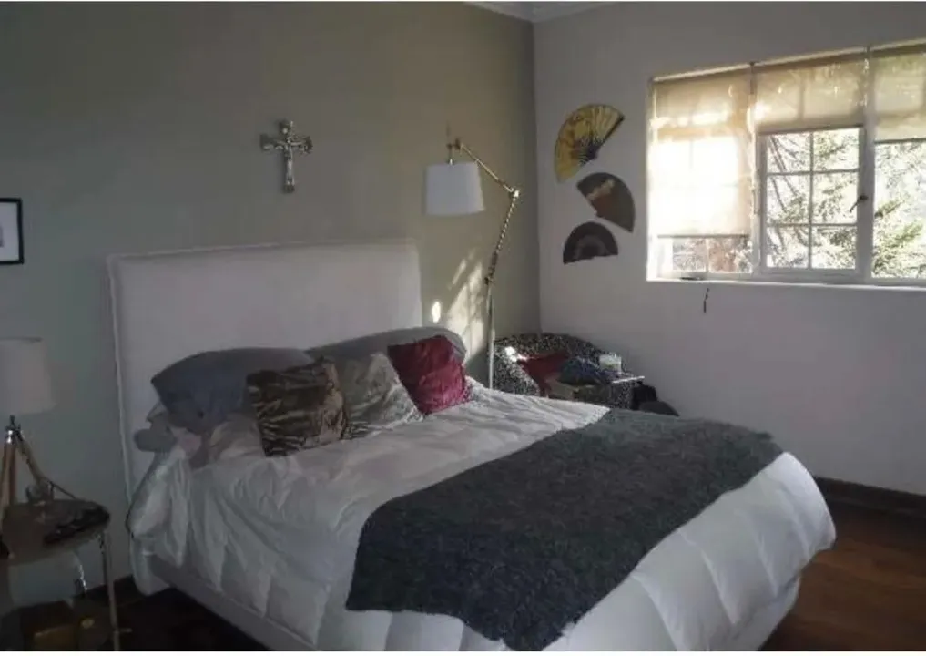 Campos Eliseos XXVII image 5