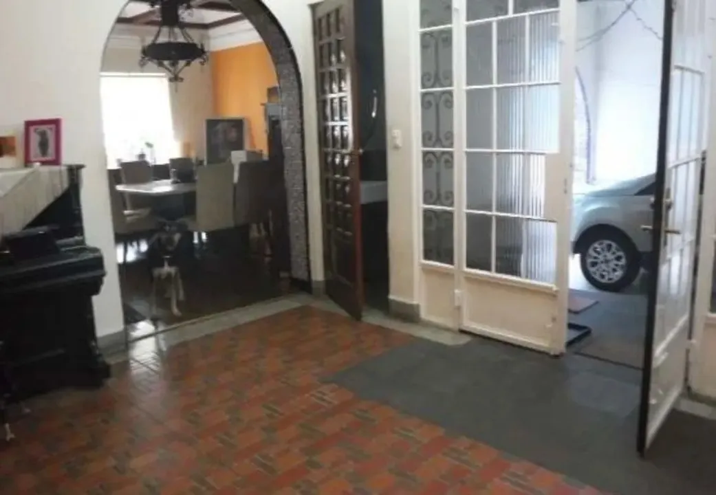 Campos Eliseos XXVII image 6