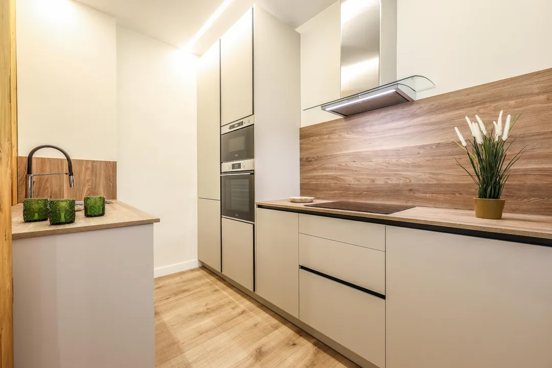 Velázquez CXX image 5