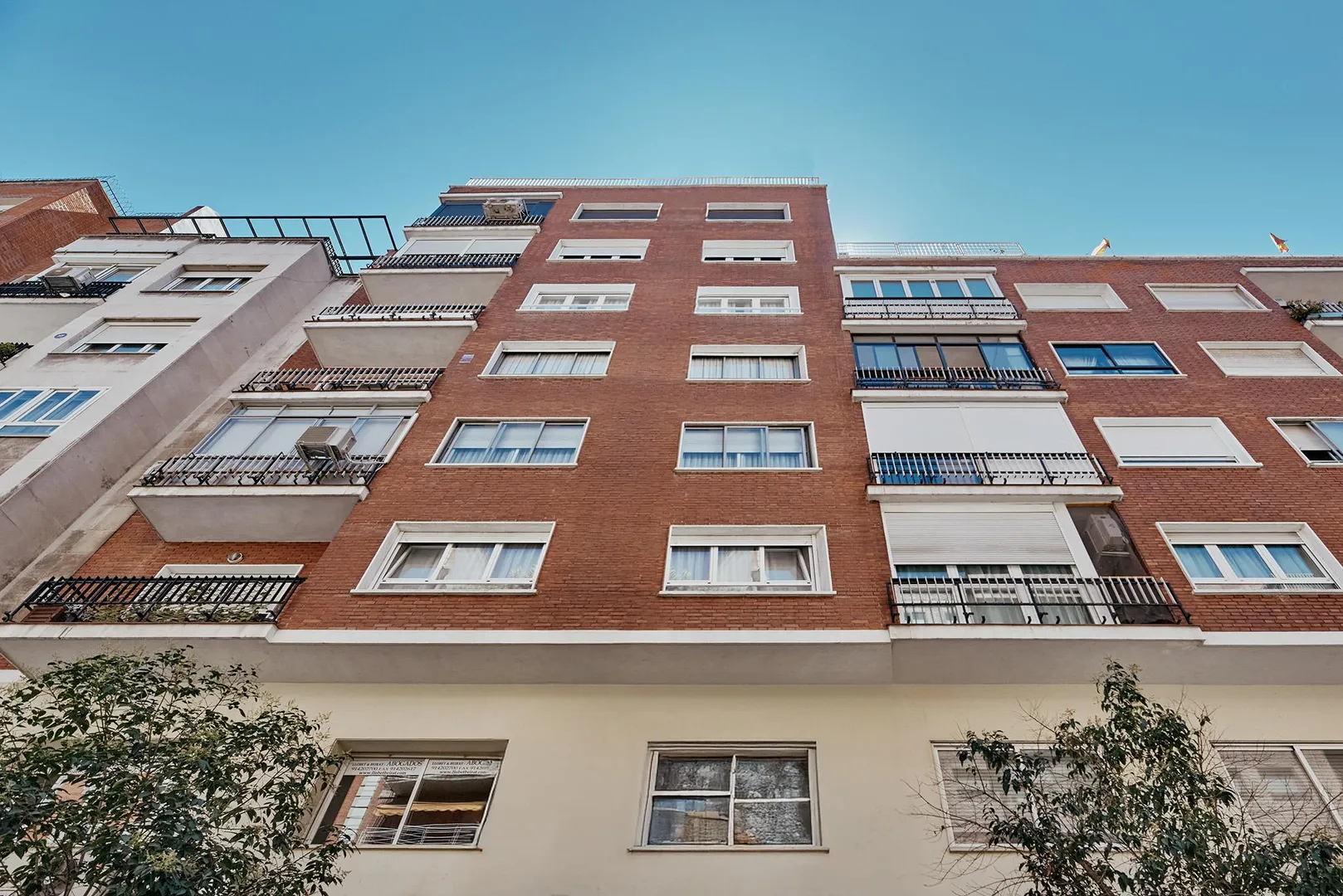 Imagen 1 de Duque de Sesto XII