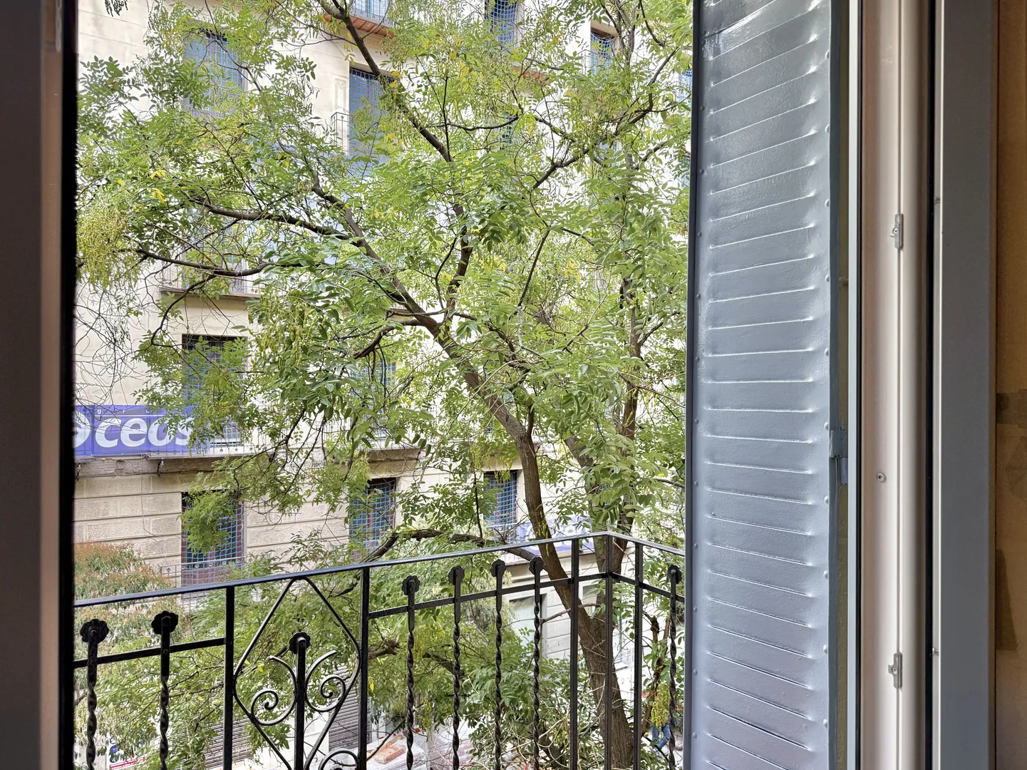 DON RAMÓN DE LA CRUZ XX image 6