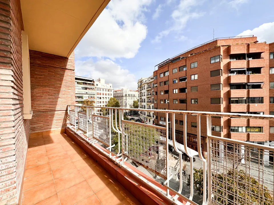 ANTONIA MERCE IX image 4