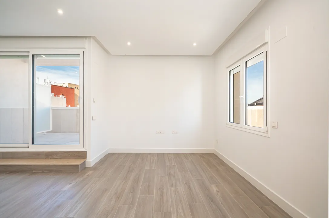 Maestro Alonso V image 3